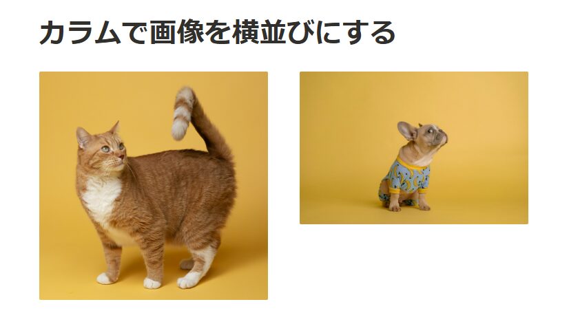 Notionでカラムを使って画像を横並びにした例